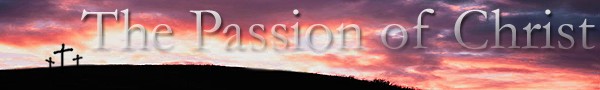 The Passion of The Christ. a fan based website